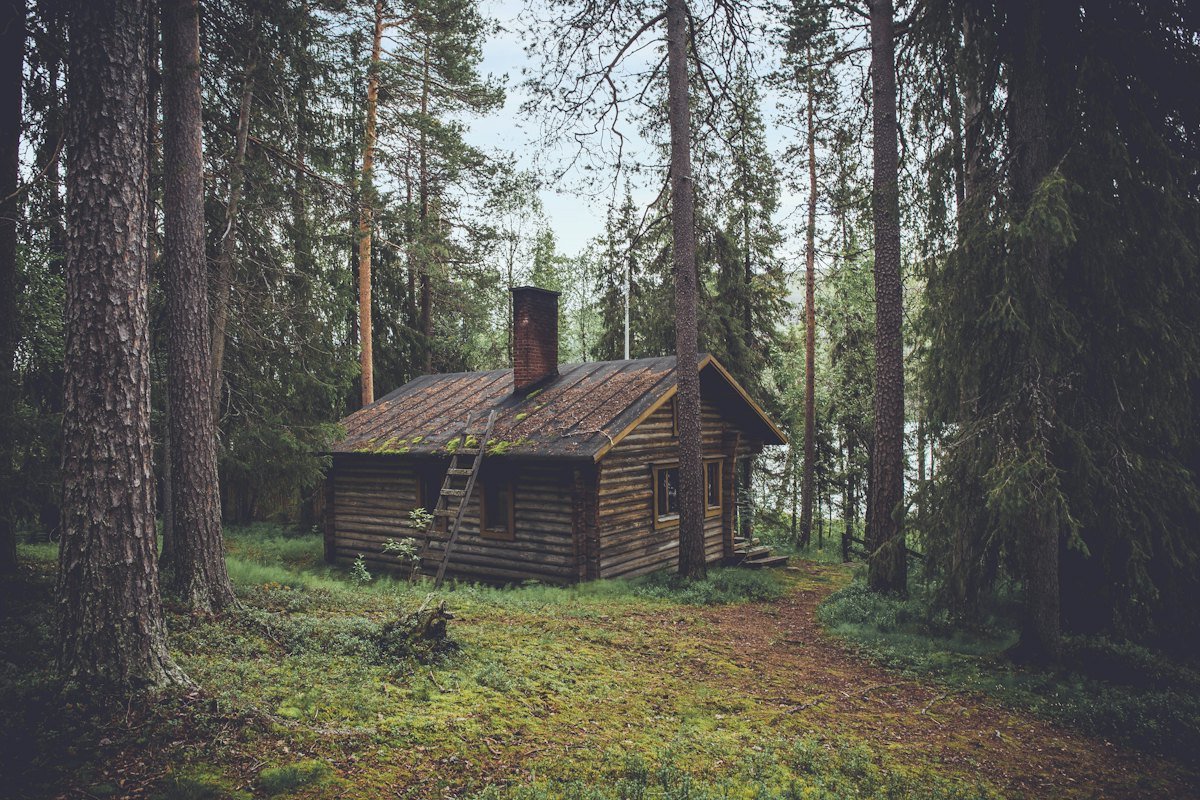 Log Cabin among the Pines